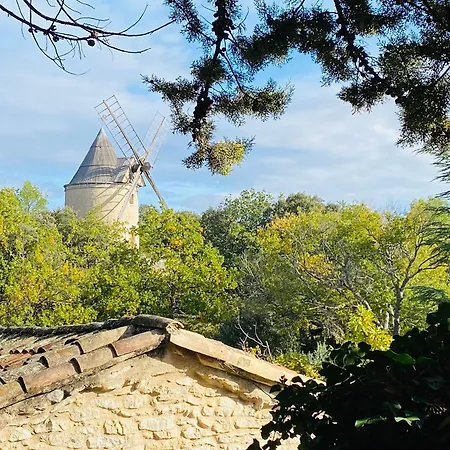 Maison * Joucas